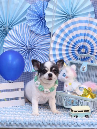 20231109プアちゃん